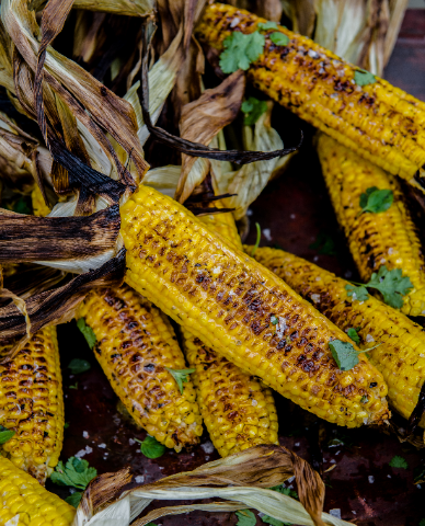 Grilled Corn on the Cob with Chipotle White Sauce